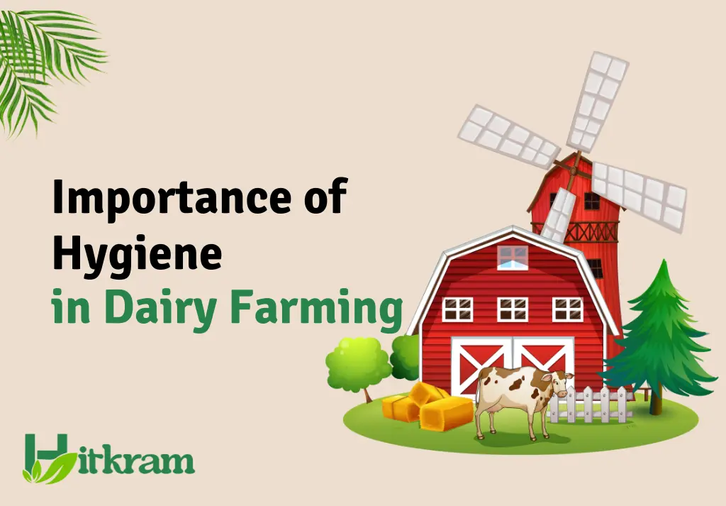 Dairy Farming and the Importance of Hygiene - Hitkram